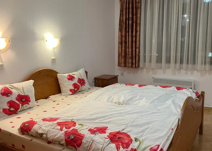 скиелит 5 * Pamporovo